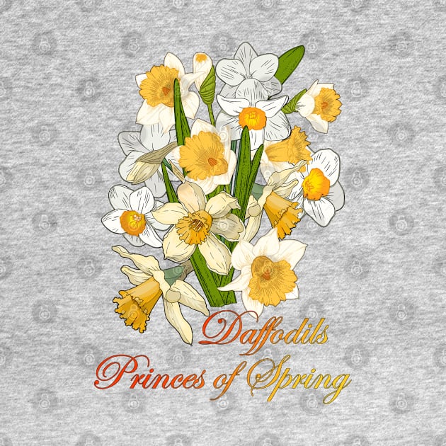 Daffodils-Princes of Spring-Spring Flowers Daffodils-Spring flower by KrasiStaleva